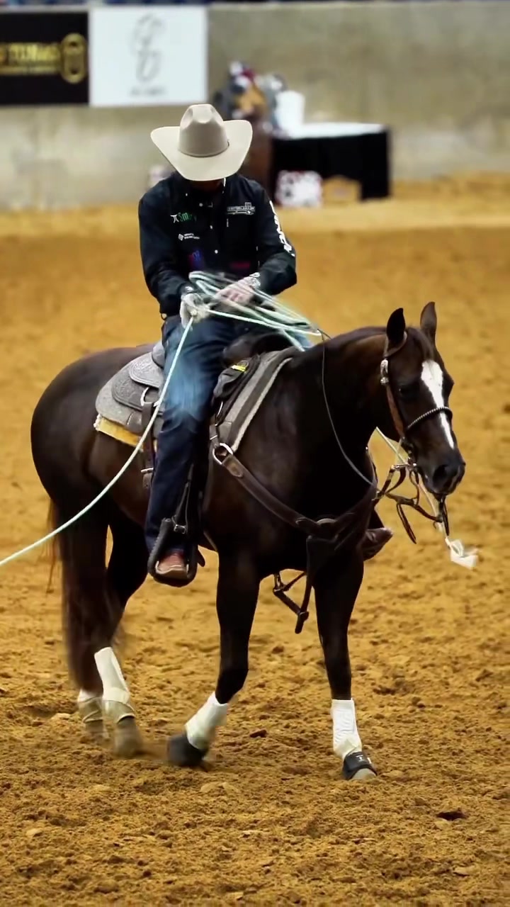 @Roping Dummies Texas