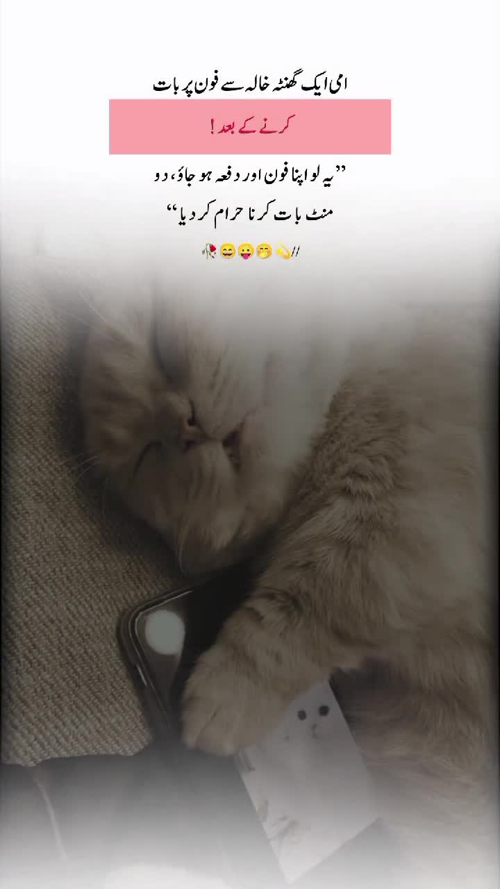 @【𝐌𝐮𝐠𝐡𝐚𝐥 𝐖𝐫𝐢𝐭𝐞𝐬】