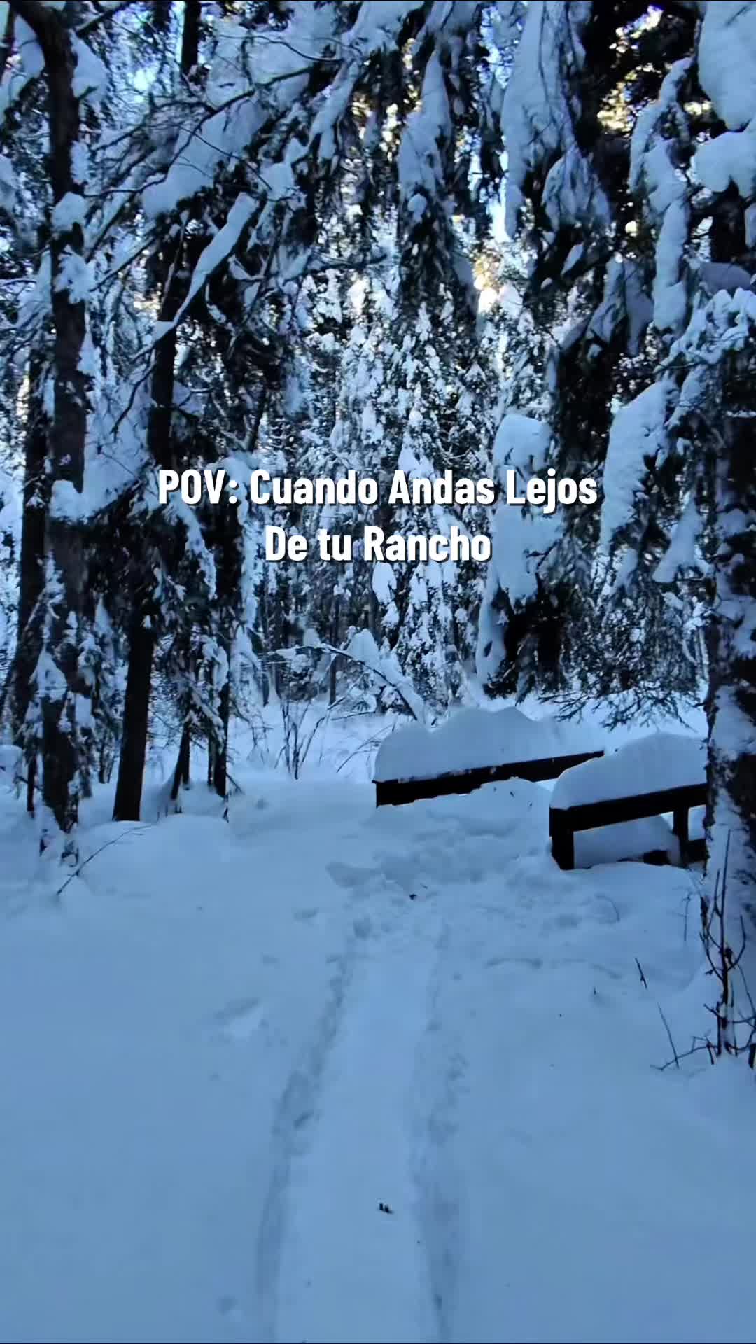@Enrique Cano