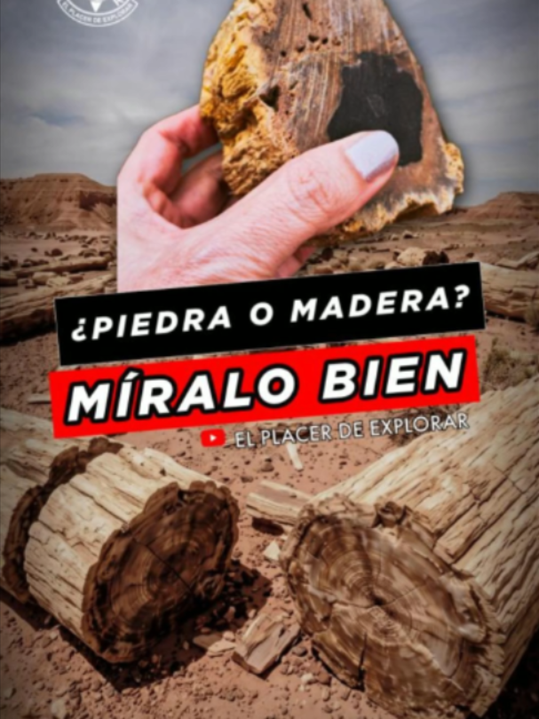 @El Placer De Explorar