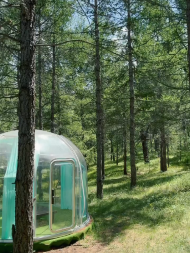 @green_group_21_aimag