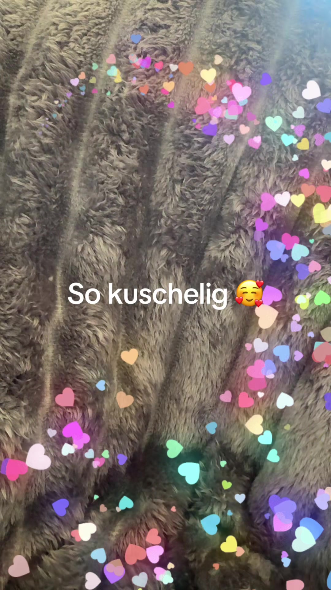 @mel