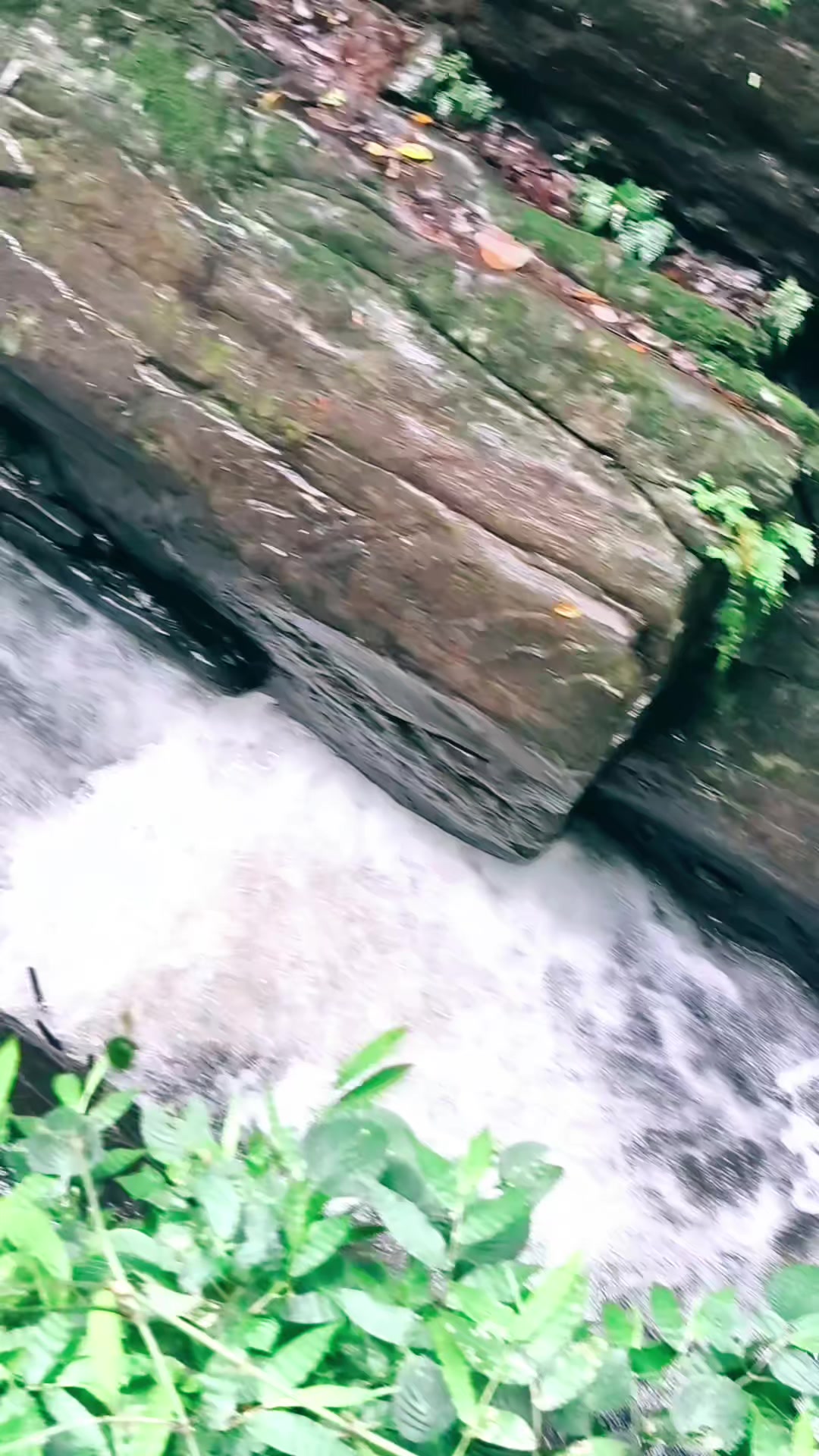 @DINA💞