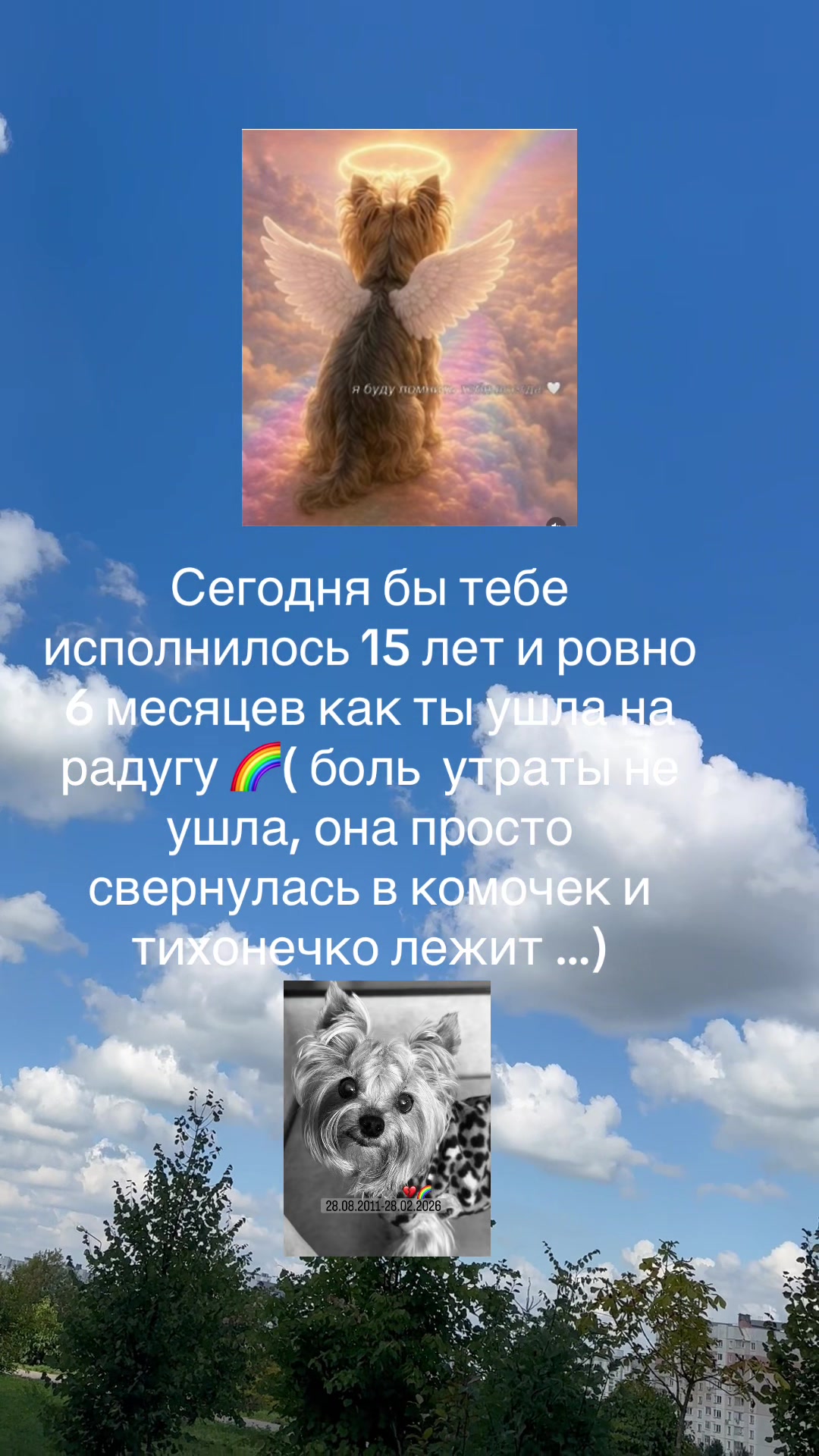 @Оливия -мой ангел🧚🏿♀️