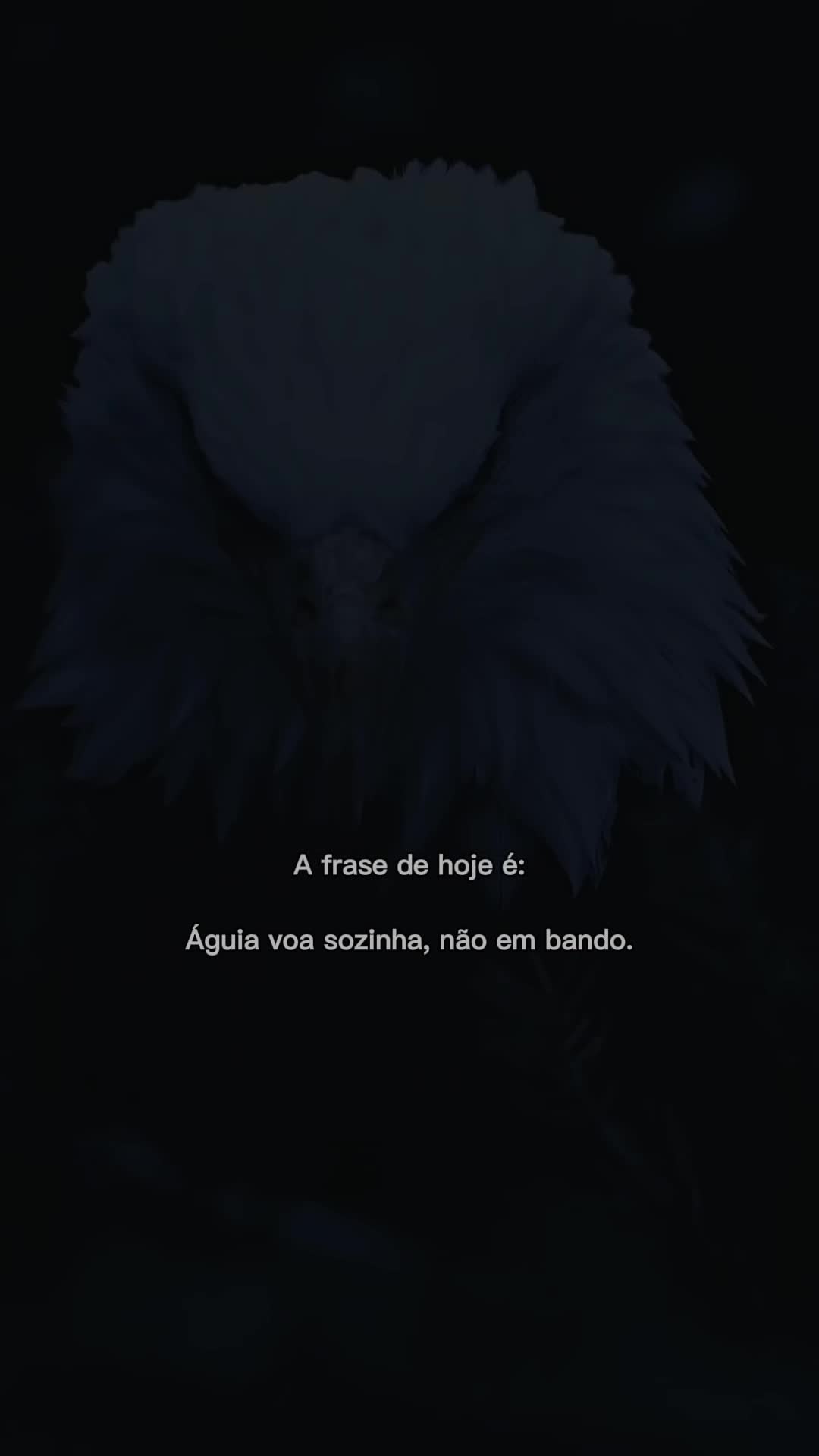 @Maya Nascimento