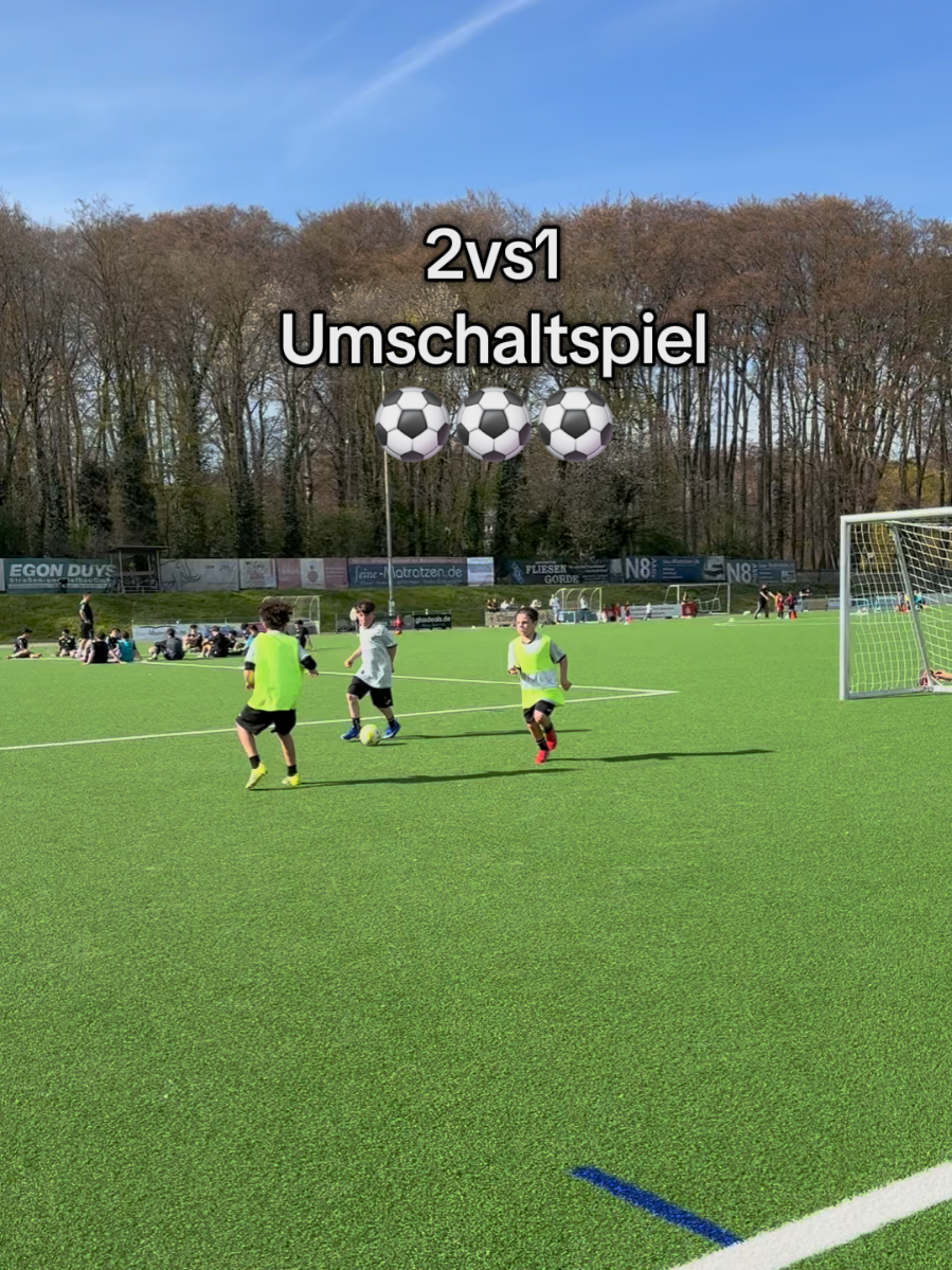 @die11erprofis 2017/18
