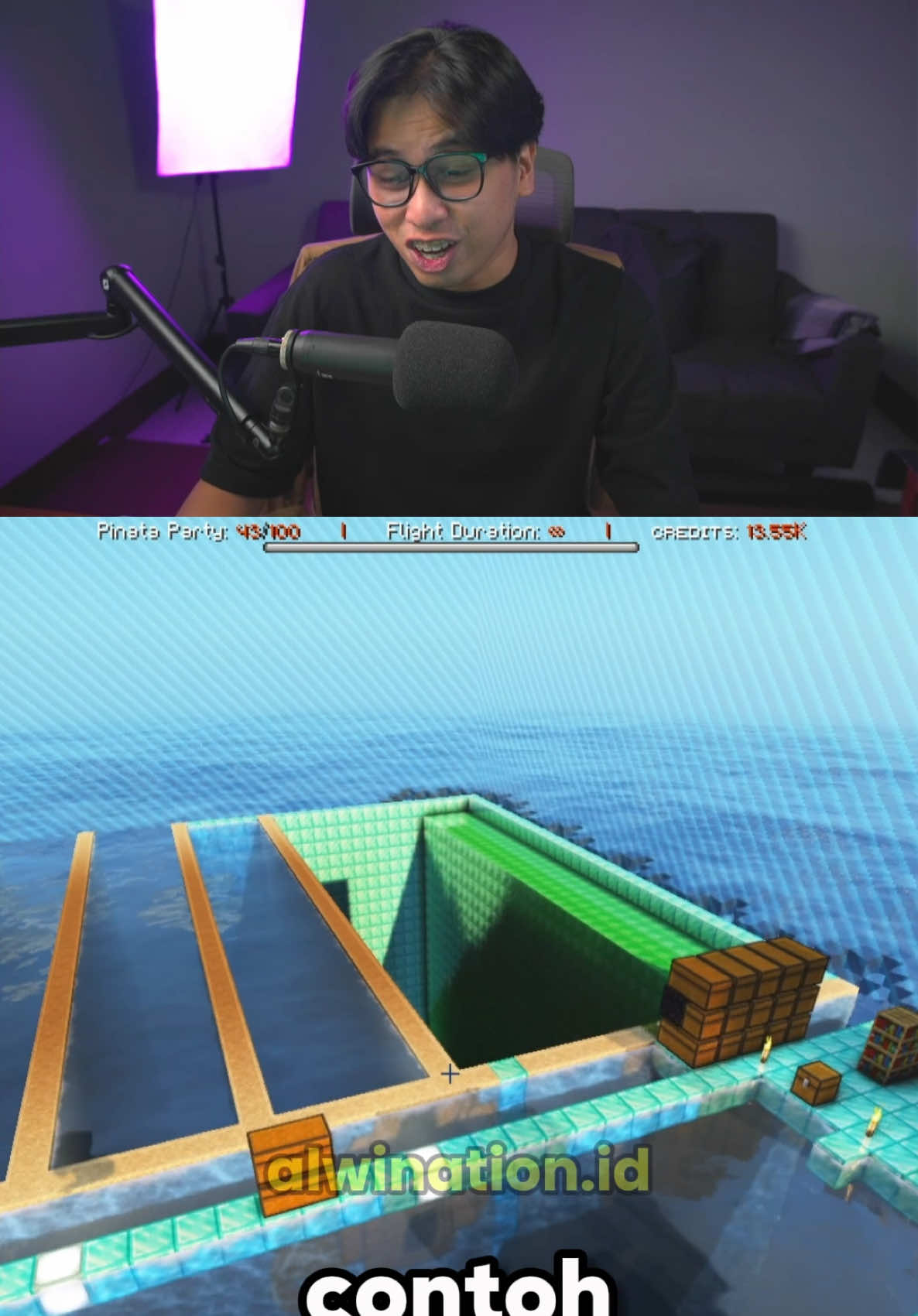 @Alwination - Server Minecraft