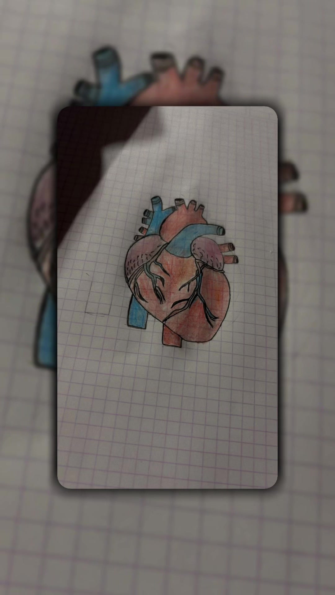 @Ana Luna