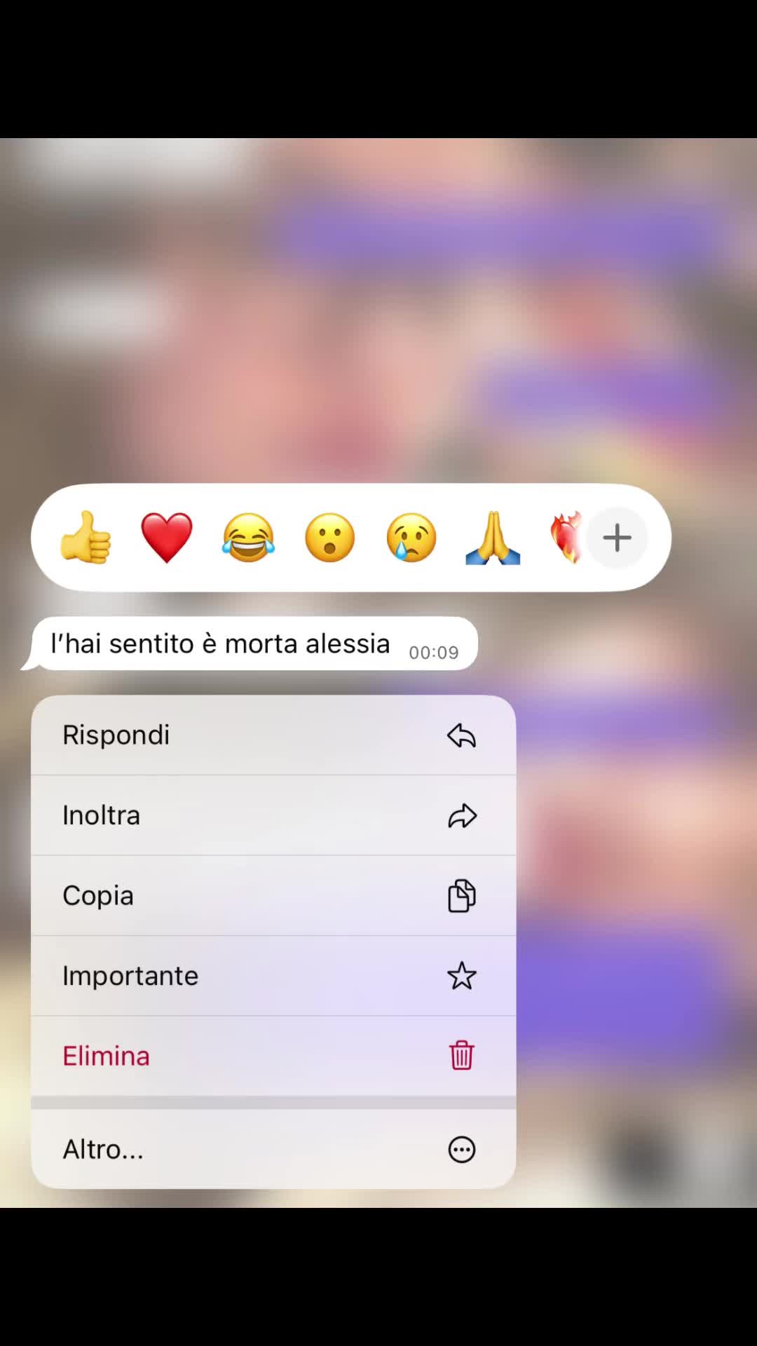 @gioggiaprvt