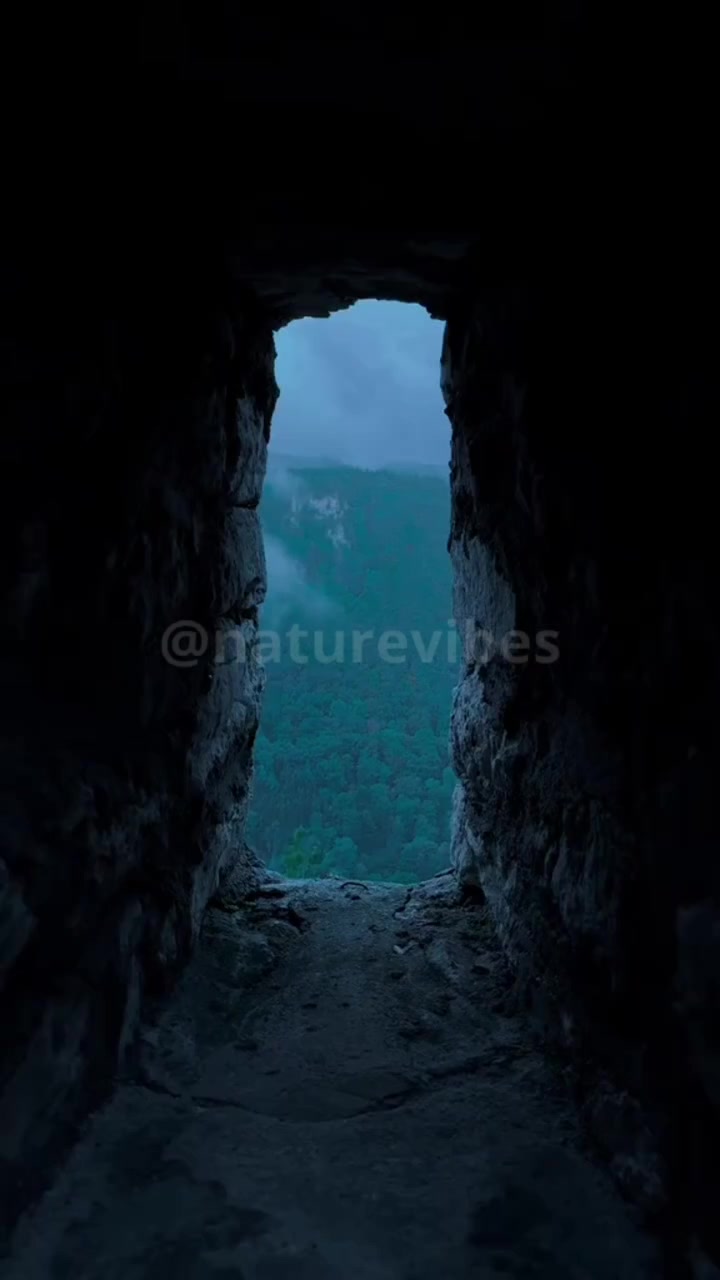 @Nature Vibes