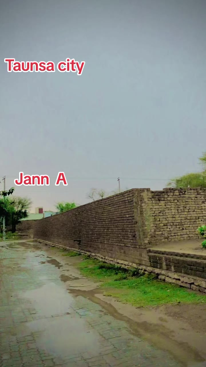 @Taunsa city 2619🇵🇰🦅🪖⚔️🗡️