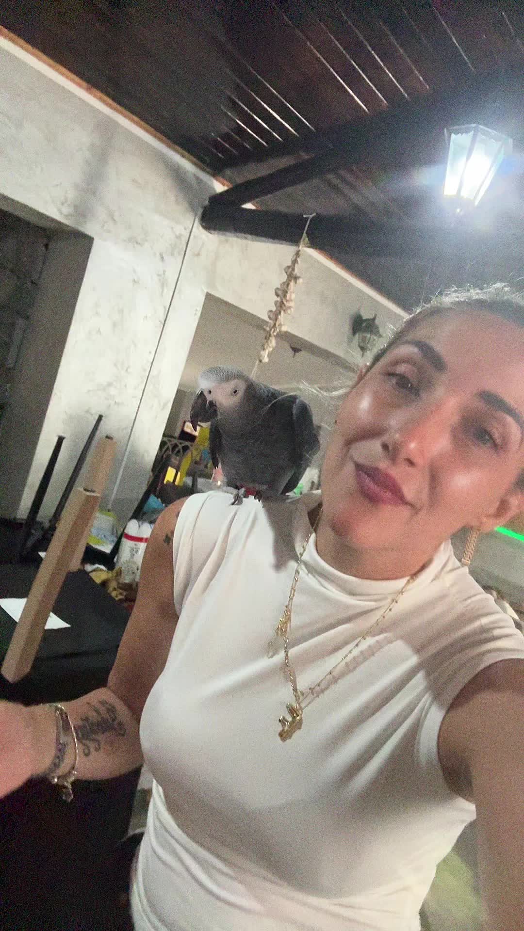 @francescamascali