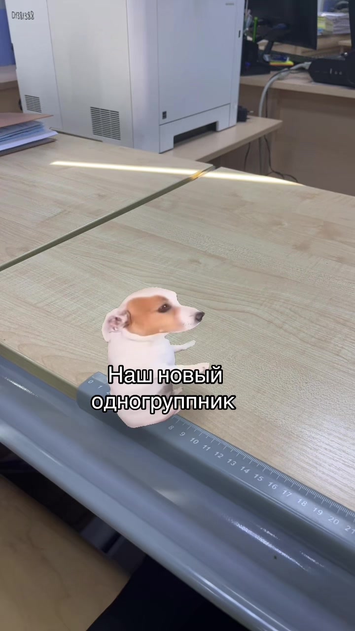 @вэпс