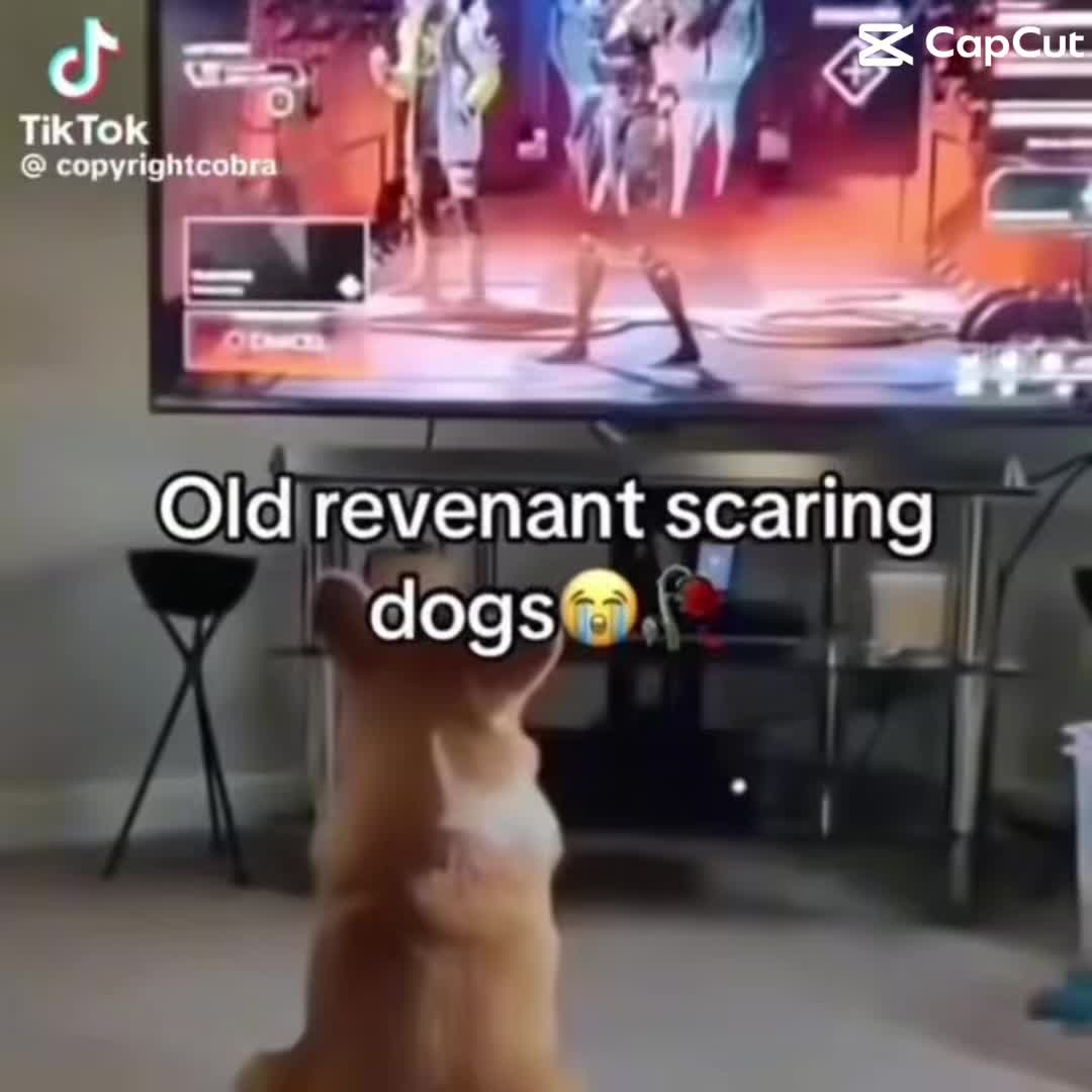 @SRTLEO87
