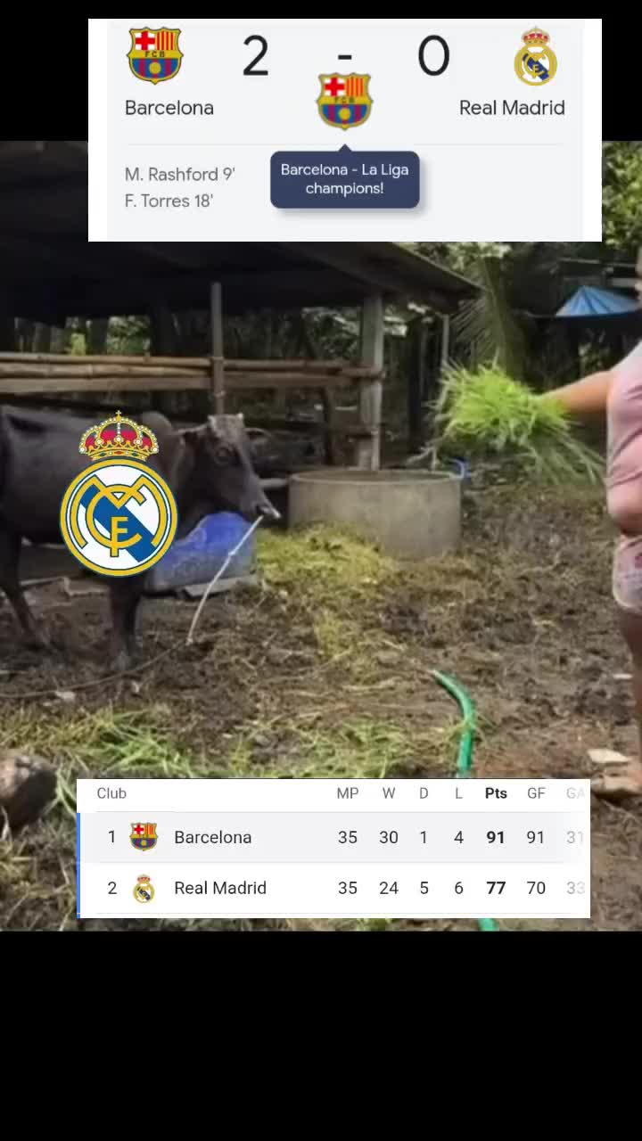 @antony86