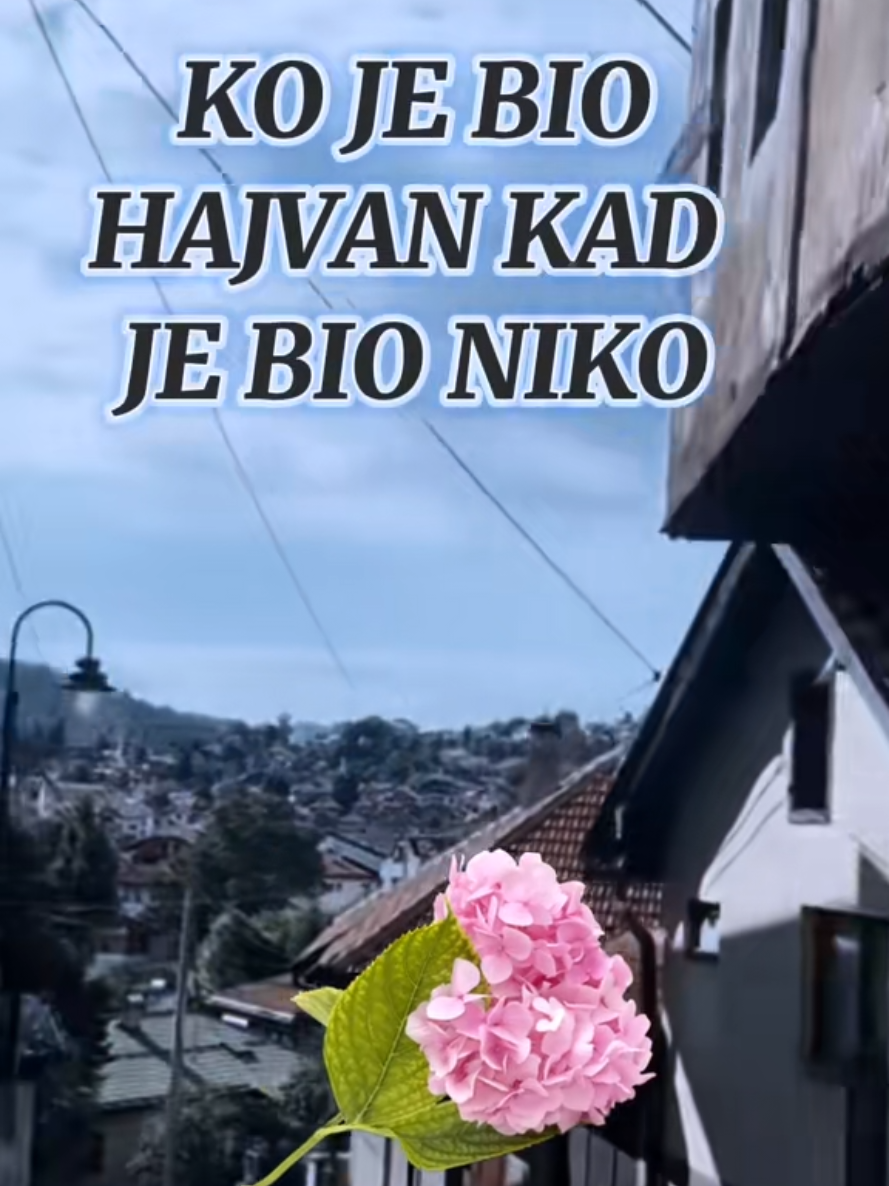 @Hadžibeg