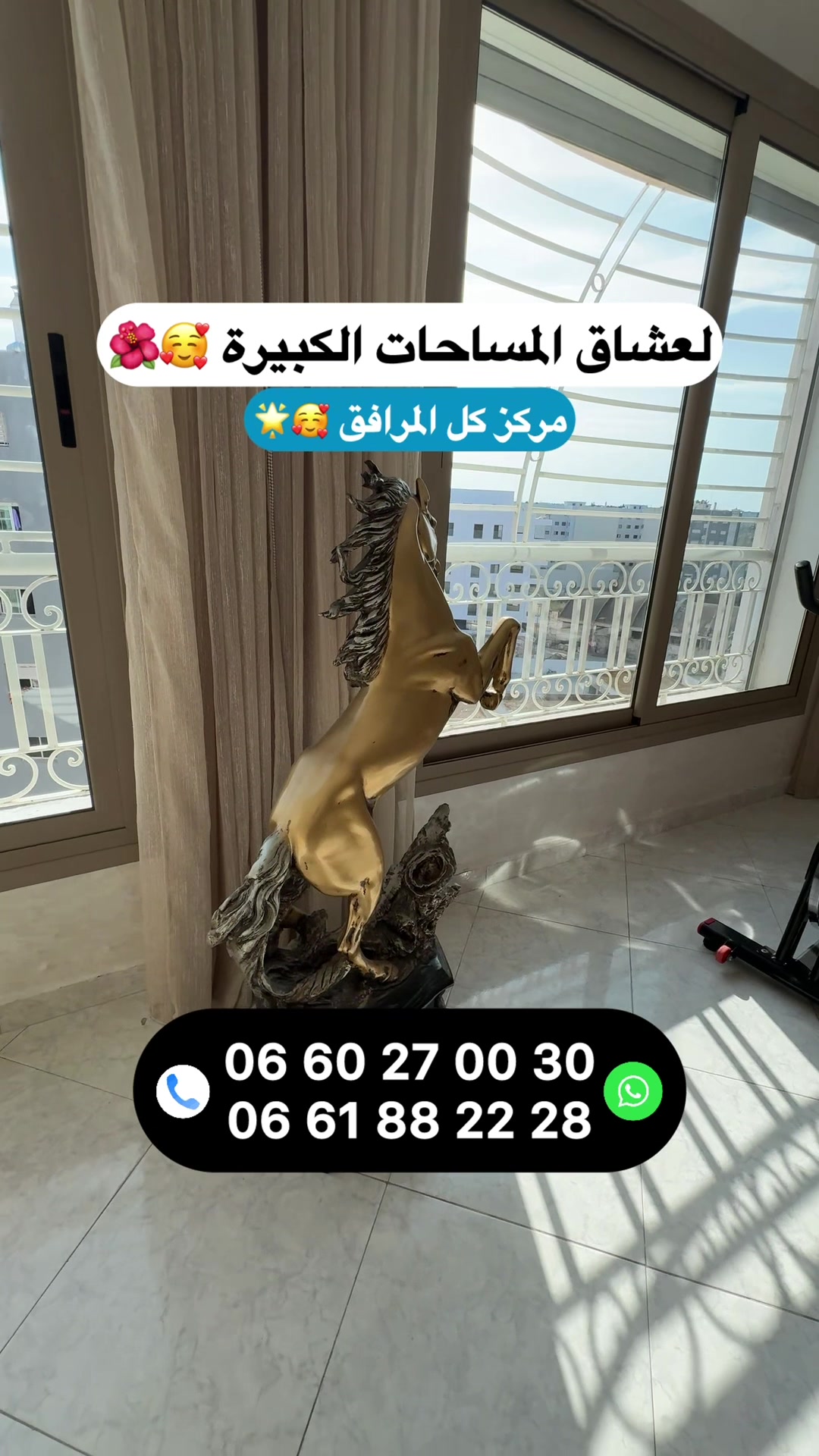 @Zakaria Haddad 🇲🇦🇵🇸