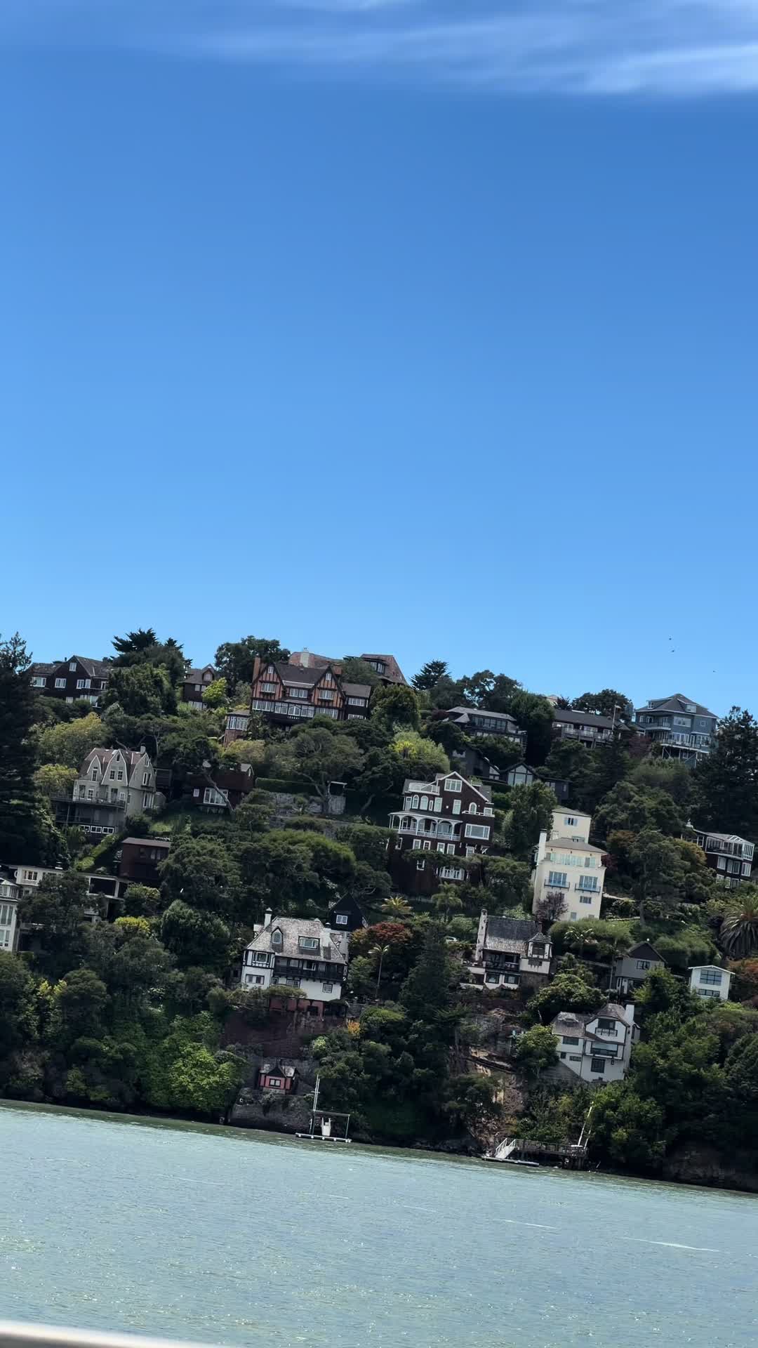 @阿里🐼