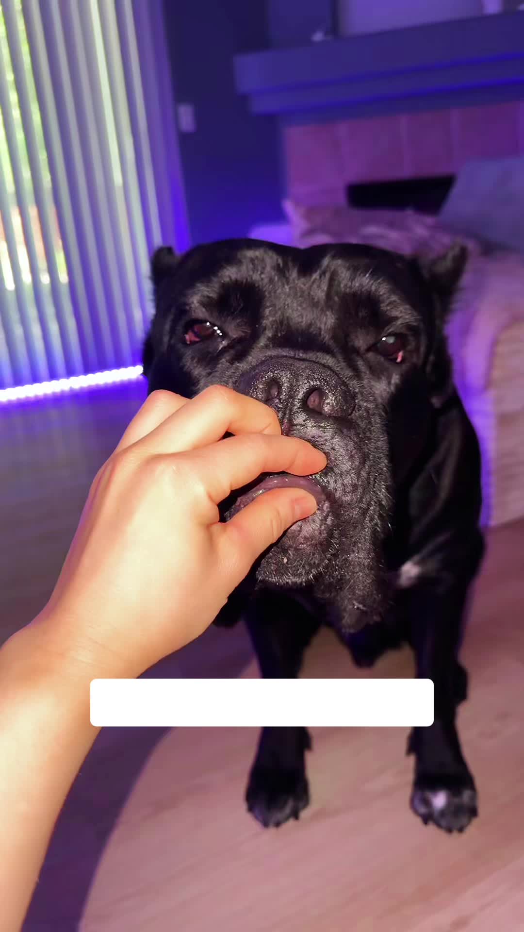 @Bentley Has Issues