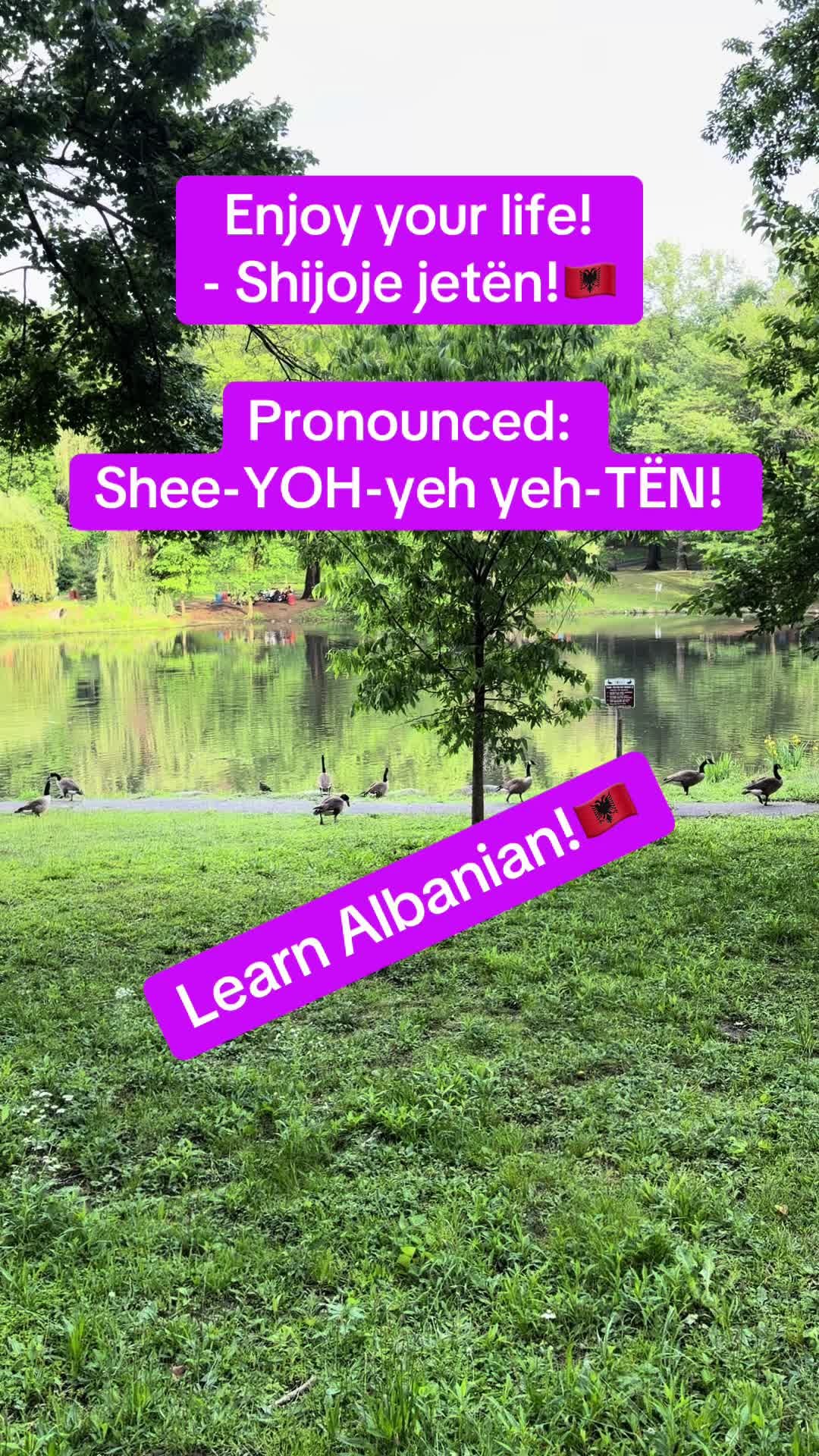 @Albana