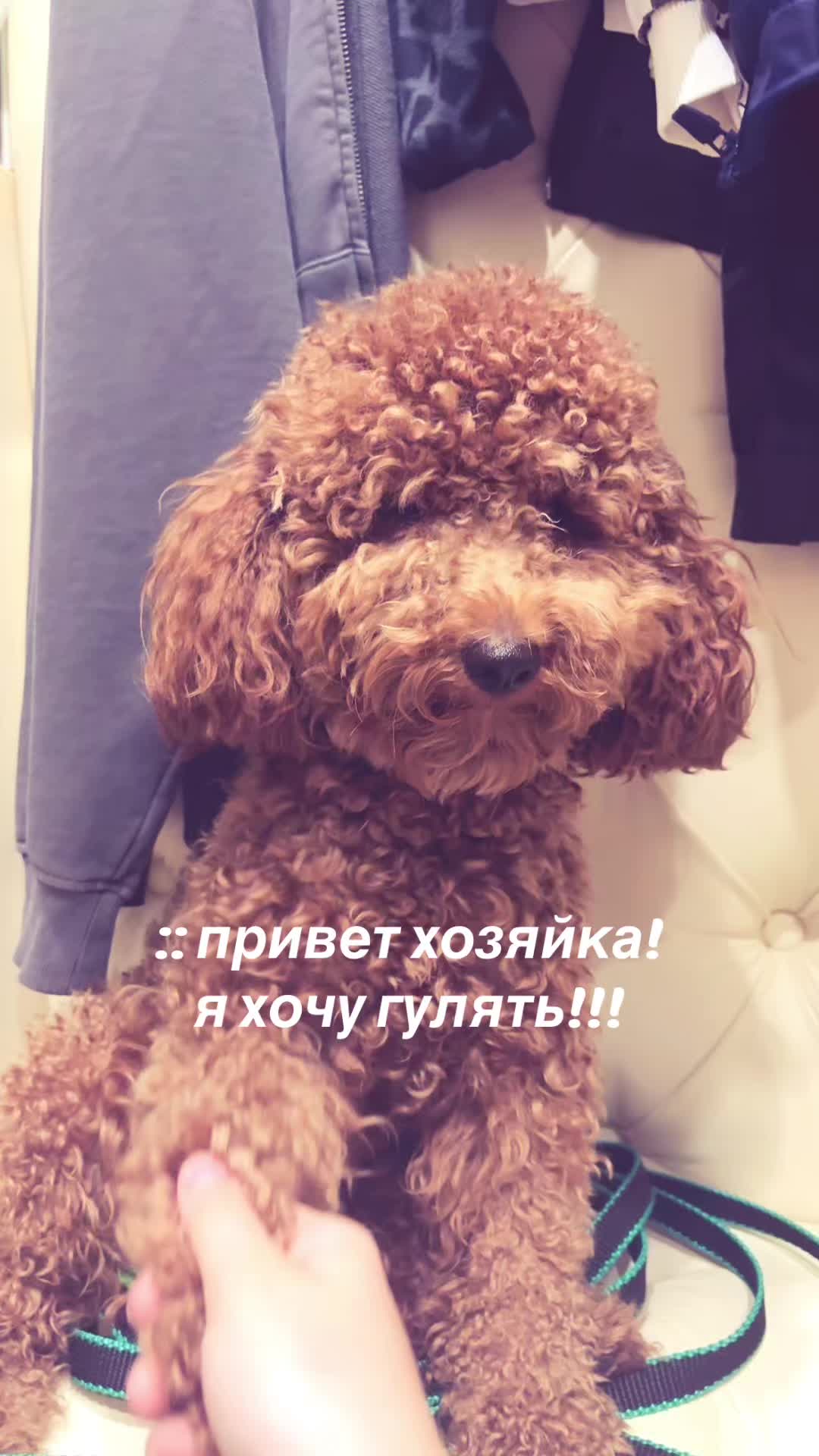 @villya12ka