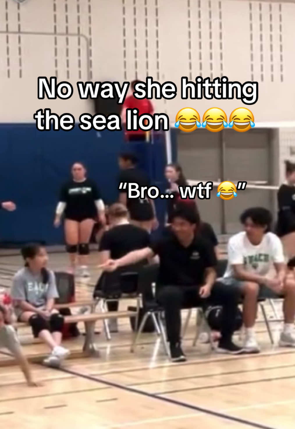 @dr.vballer