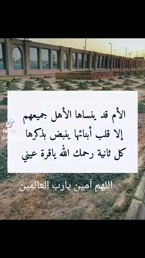 @طالب احمد