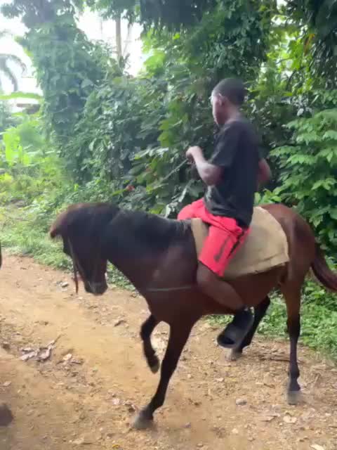 @caballero.R