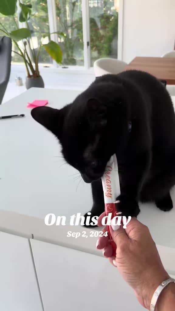 @Oscar Jeremy the cat!