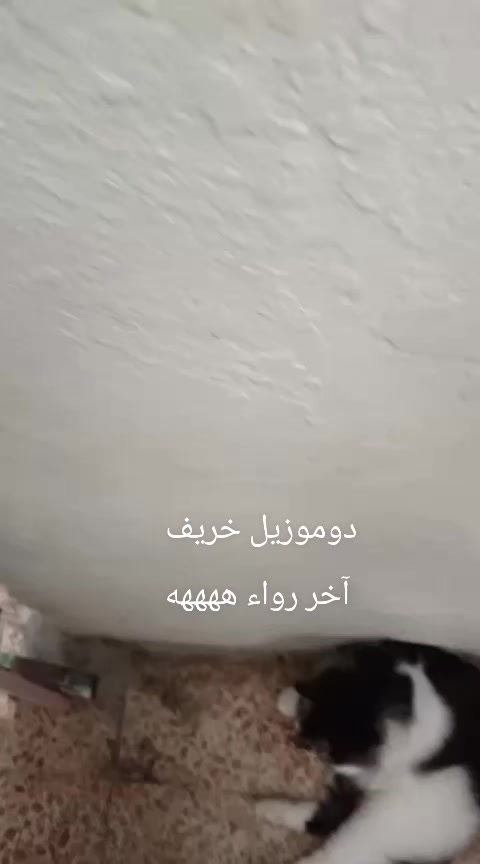 @رنا الروح