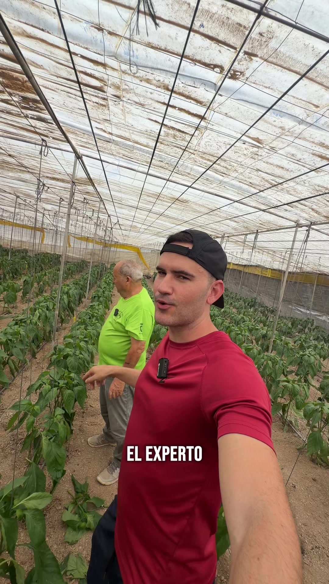 @GermanAgrolife