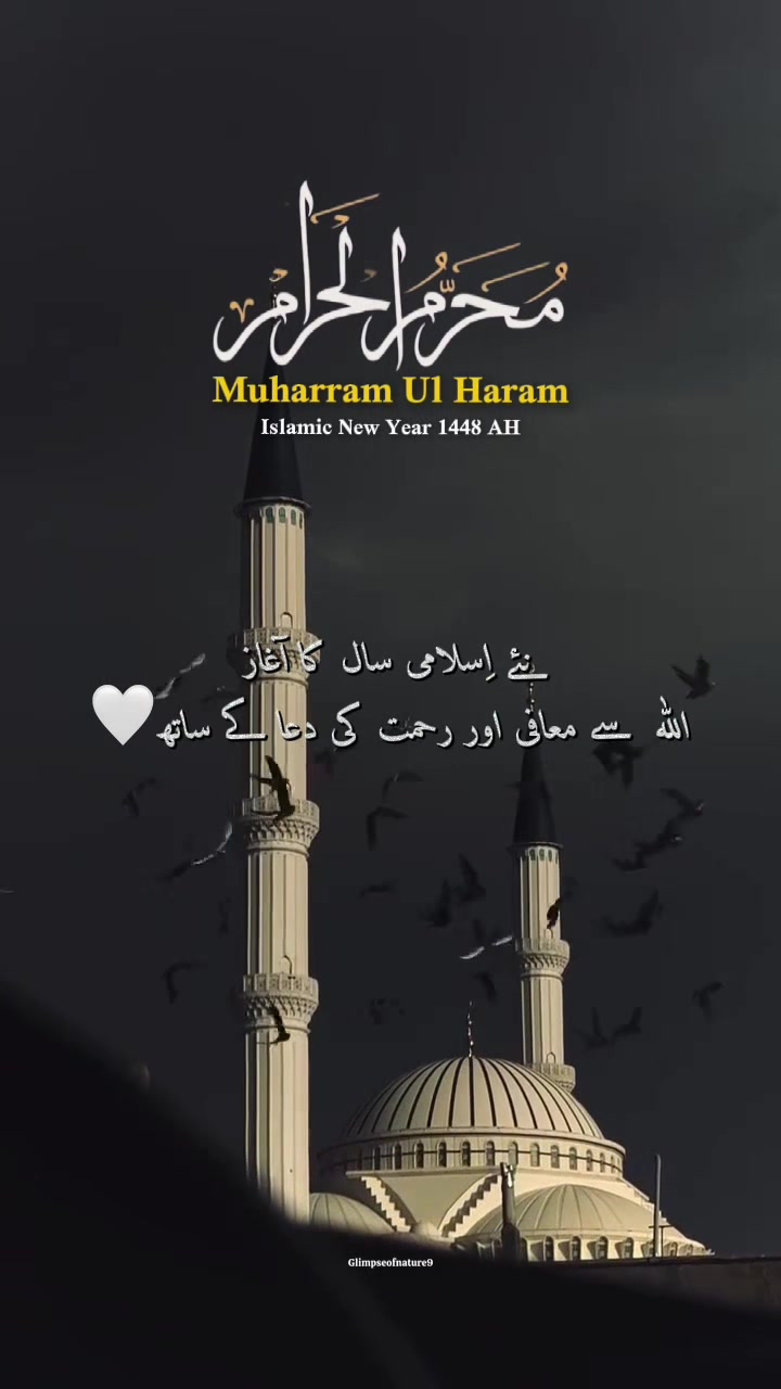 @Amna Mir❥