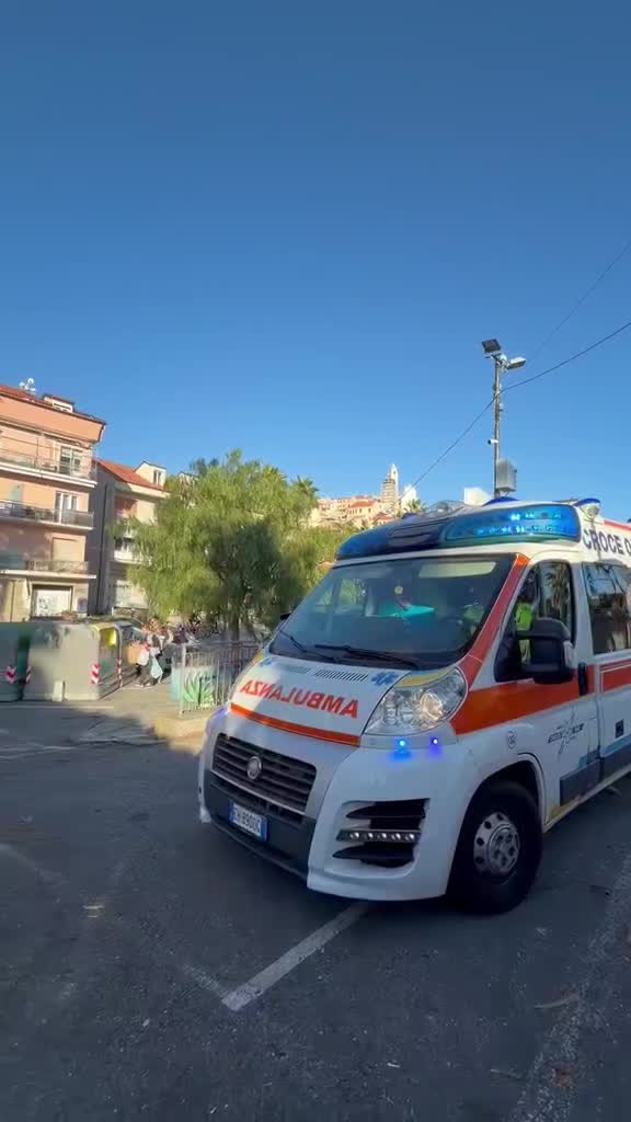 @OroCervo