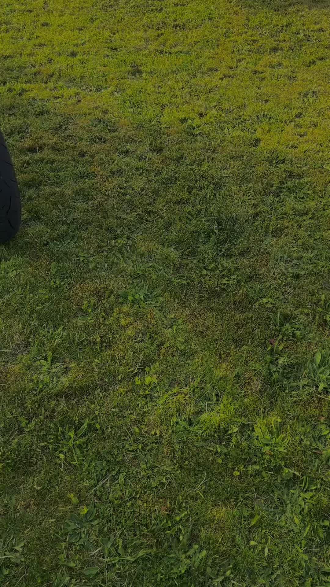 @Beta_by_ethan086