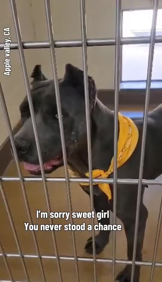 @Honey_323