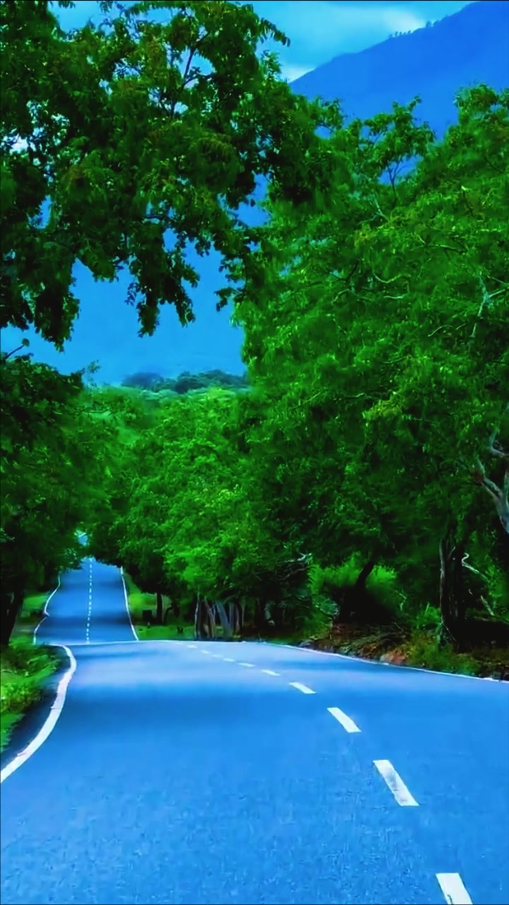 @ᒃ♪♬Kulîlka Efrînê✿◡‿◡