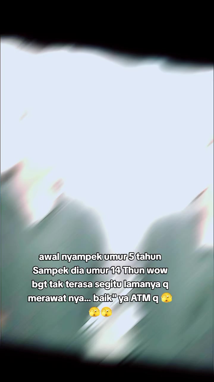 @🥀