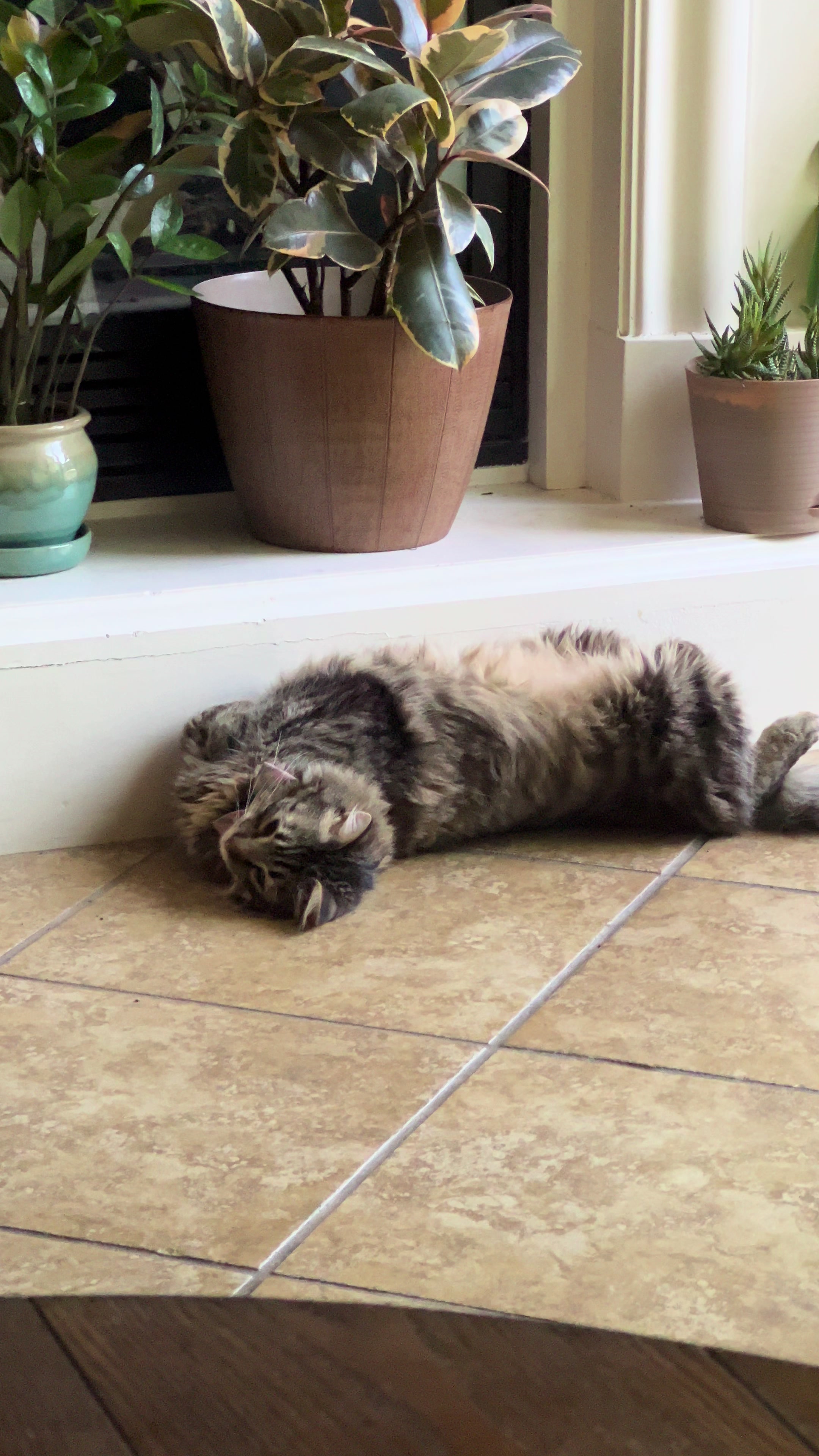 @HDExperience