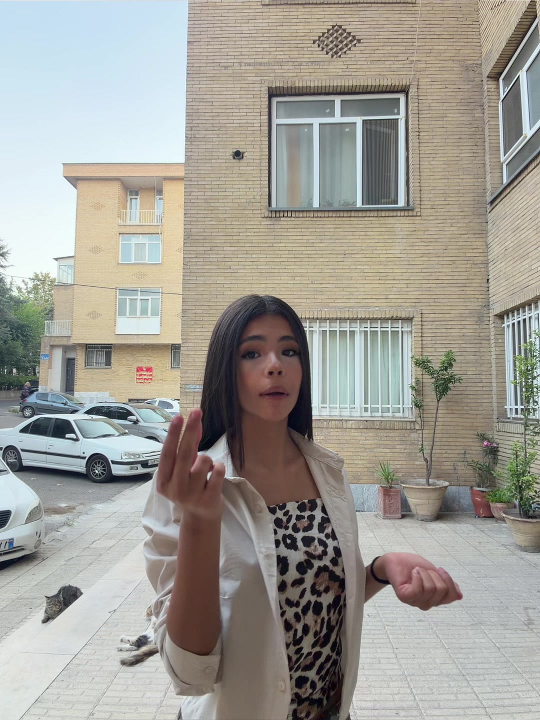 @arshida.exe