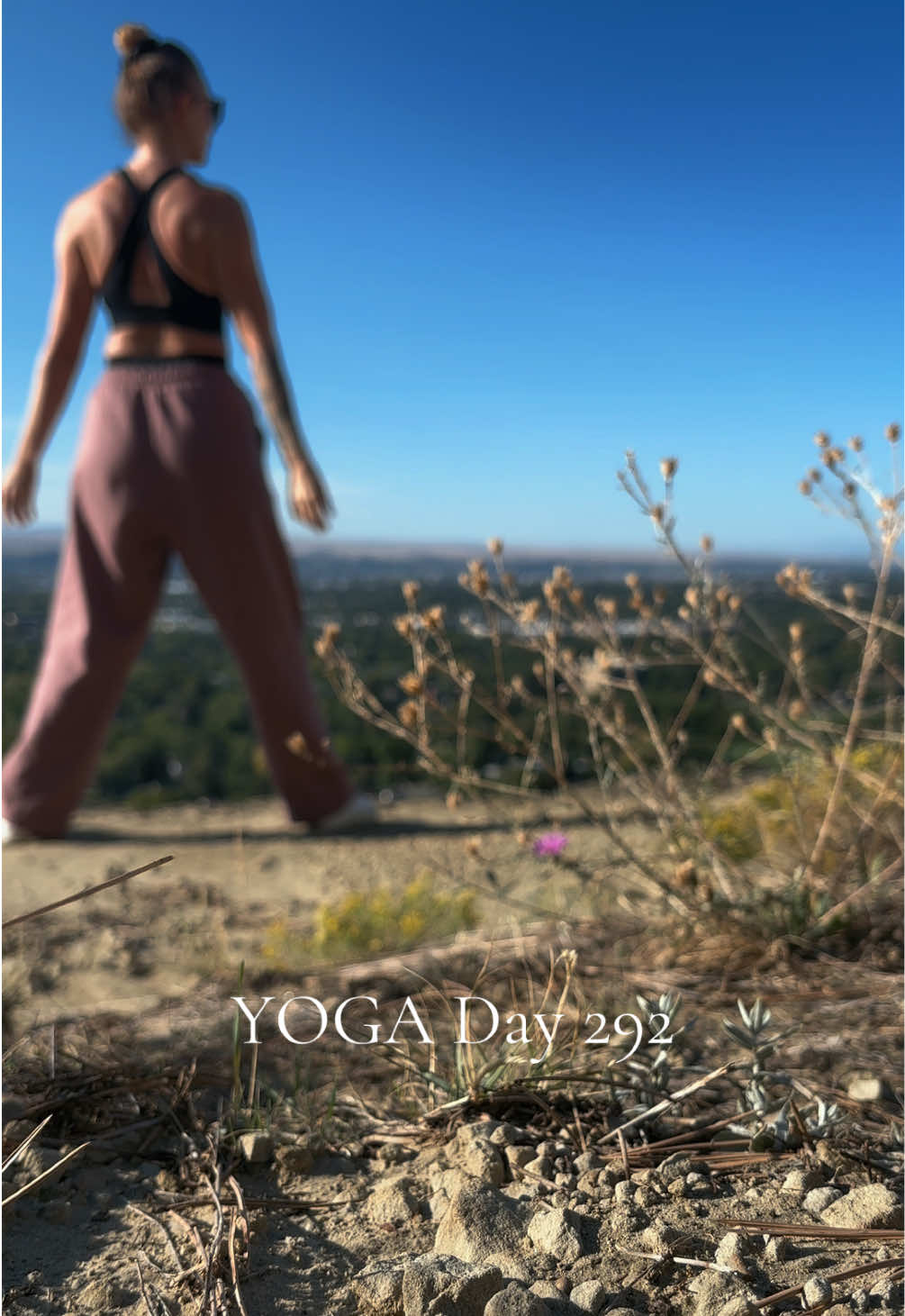 @Rare Orchid MT&YOGA