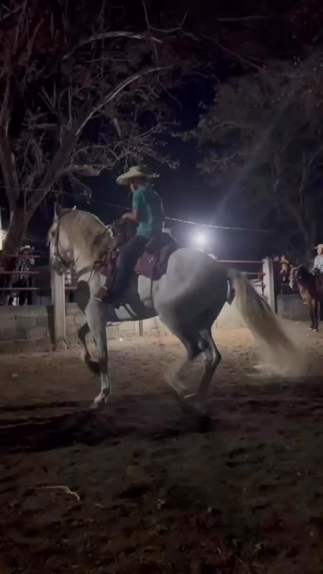 @K.borja🐴