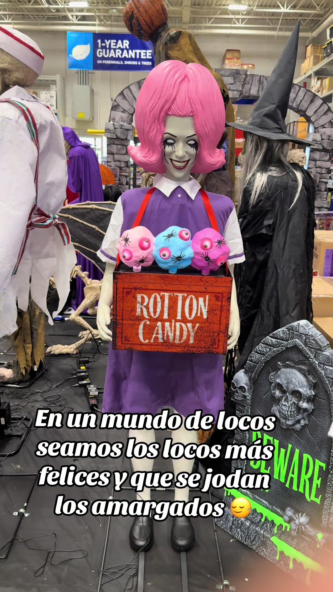 @Arelina Castro