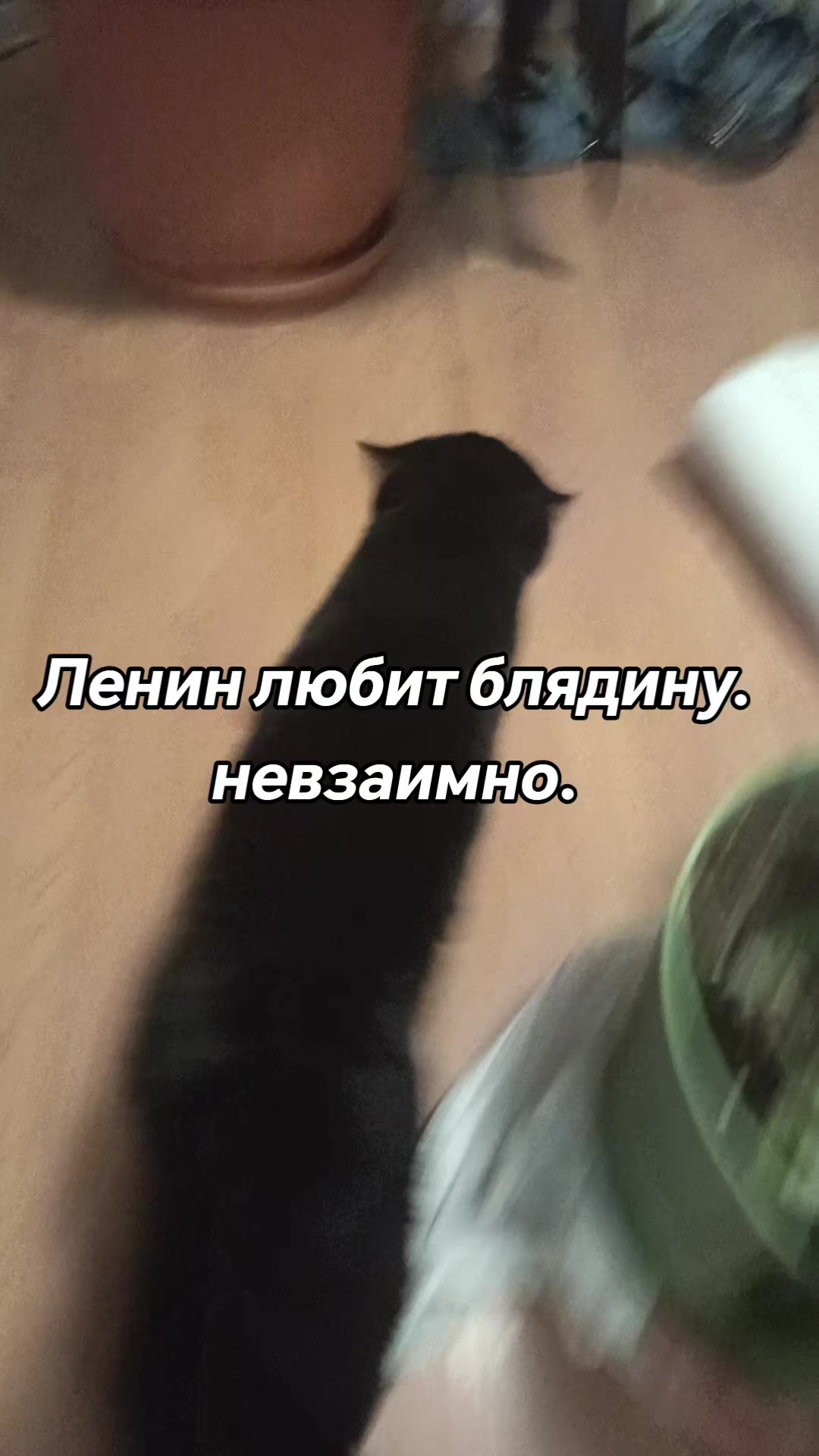 @amusleninblyadina