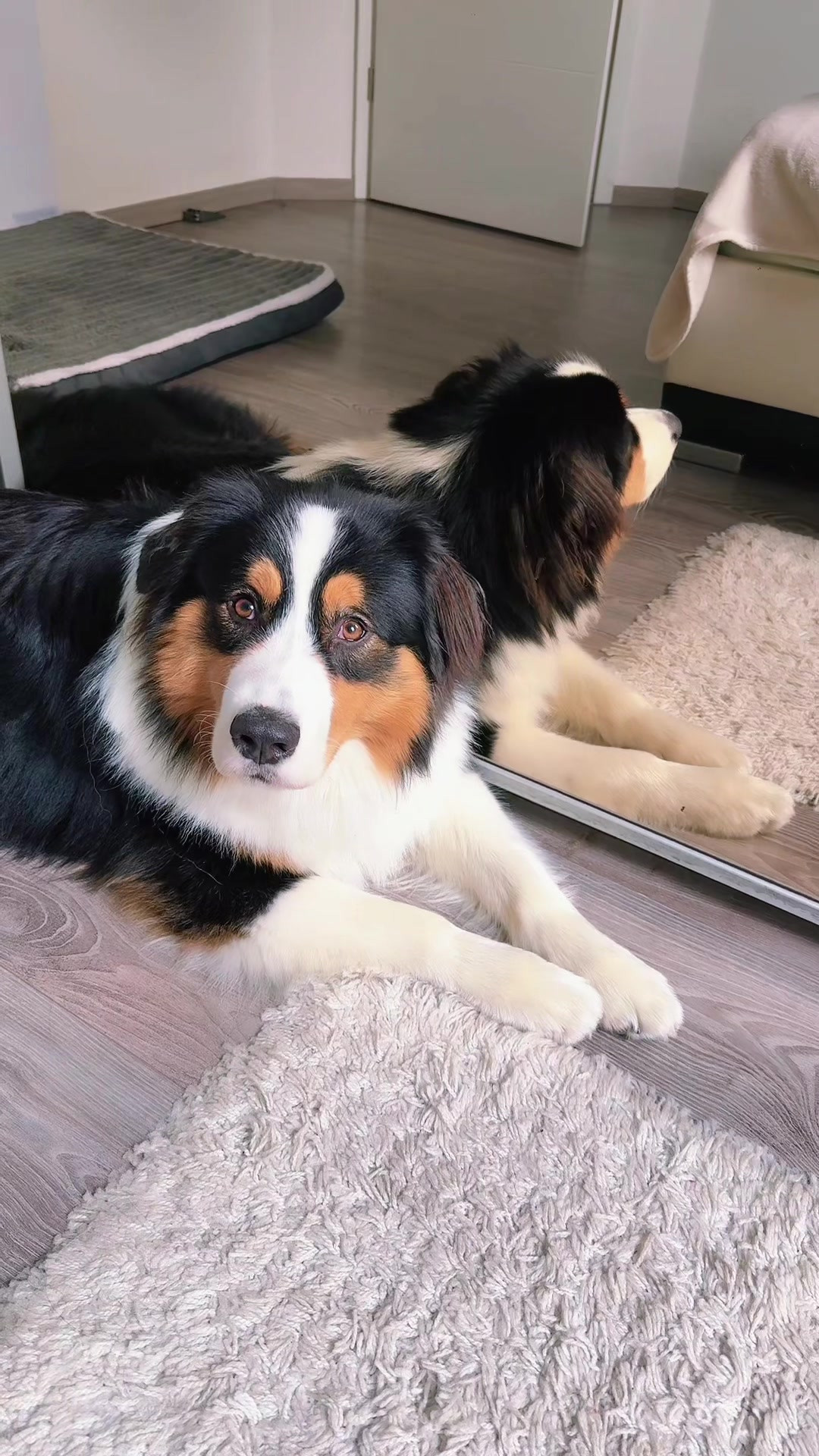 @Rico💕❤️-Vito🥰❤