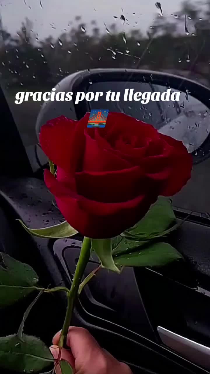 @AMOR POR LOBELLO 🌺🌺🌺