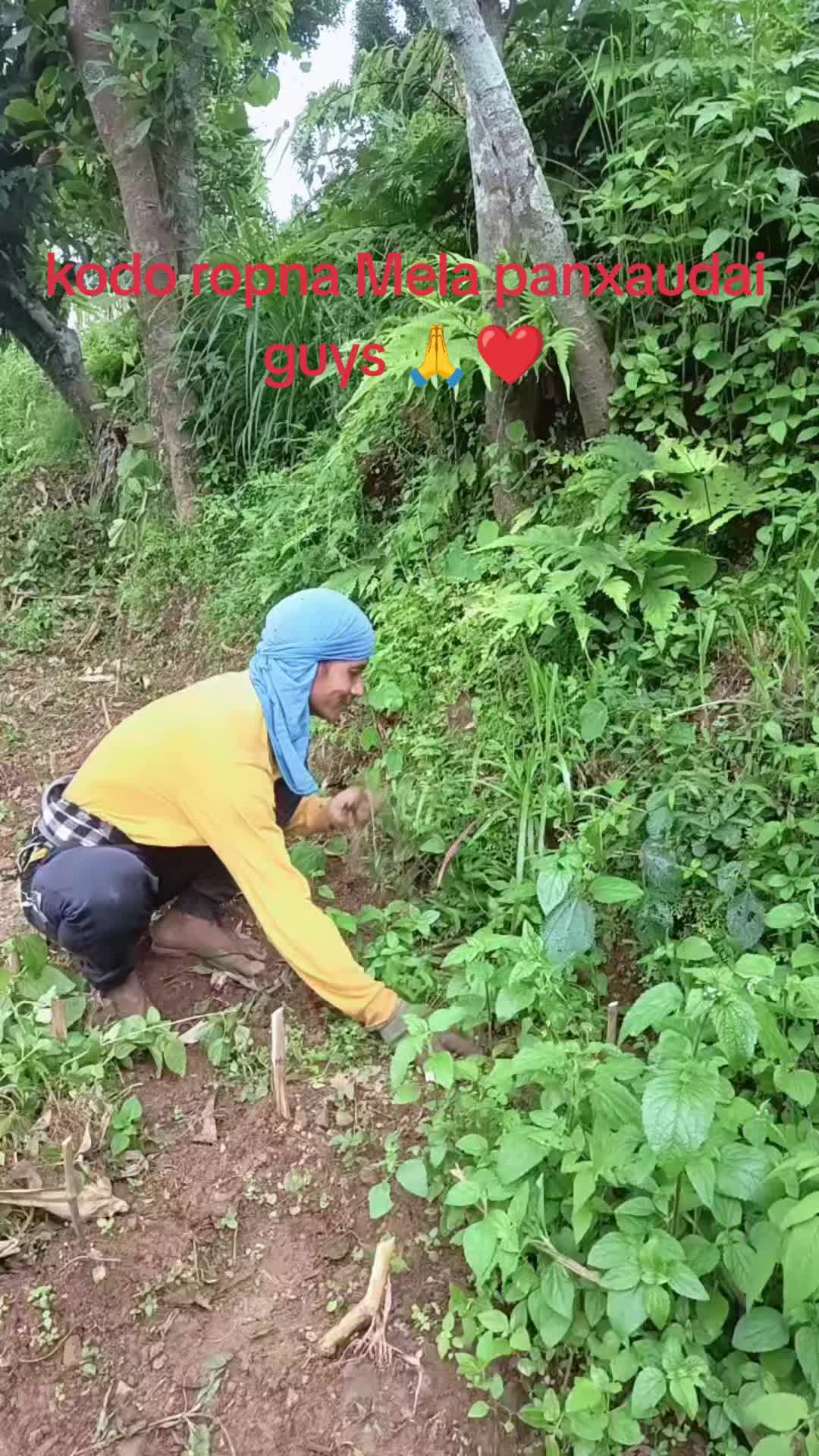 @수마너