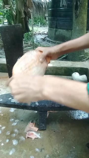 @{~Mis:Tania~}