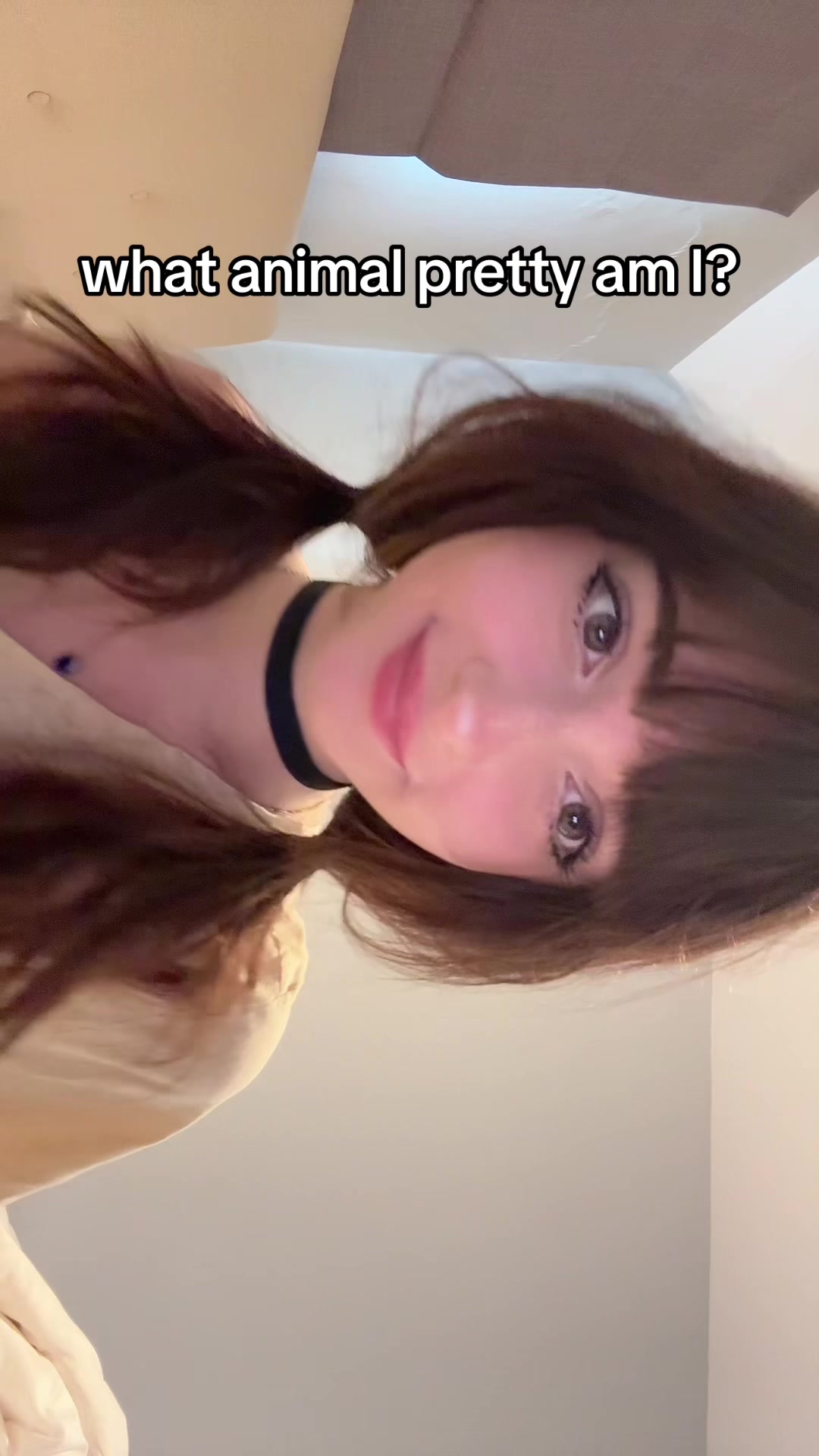 @ella