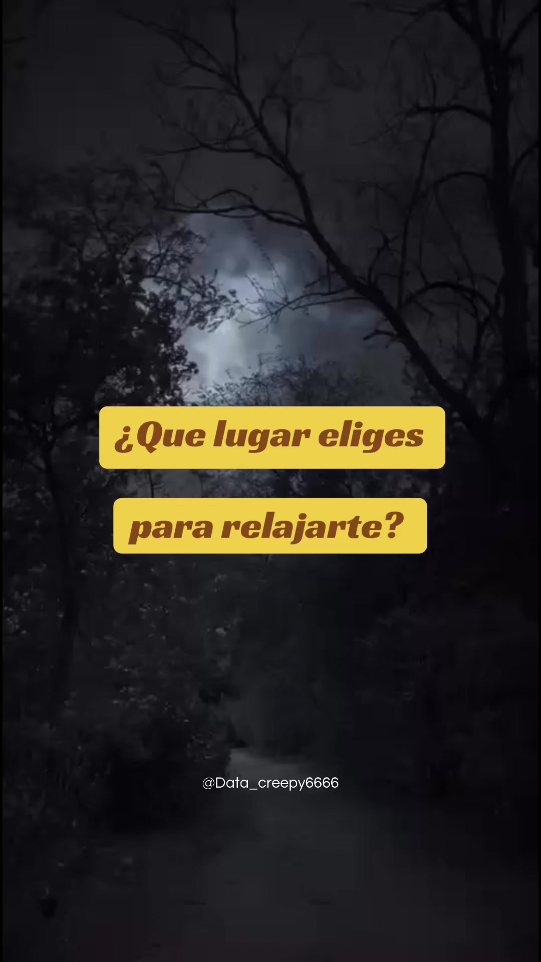 @⚡️ASH⚡️