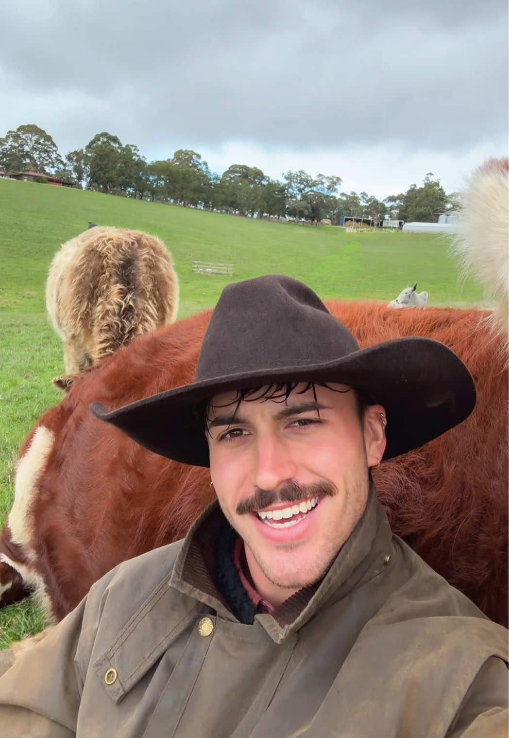 @Liam 🤠